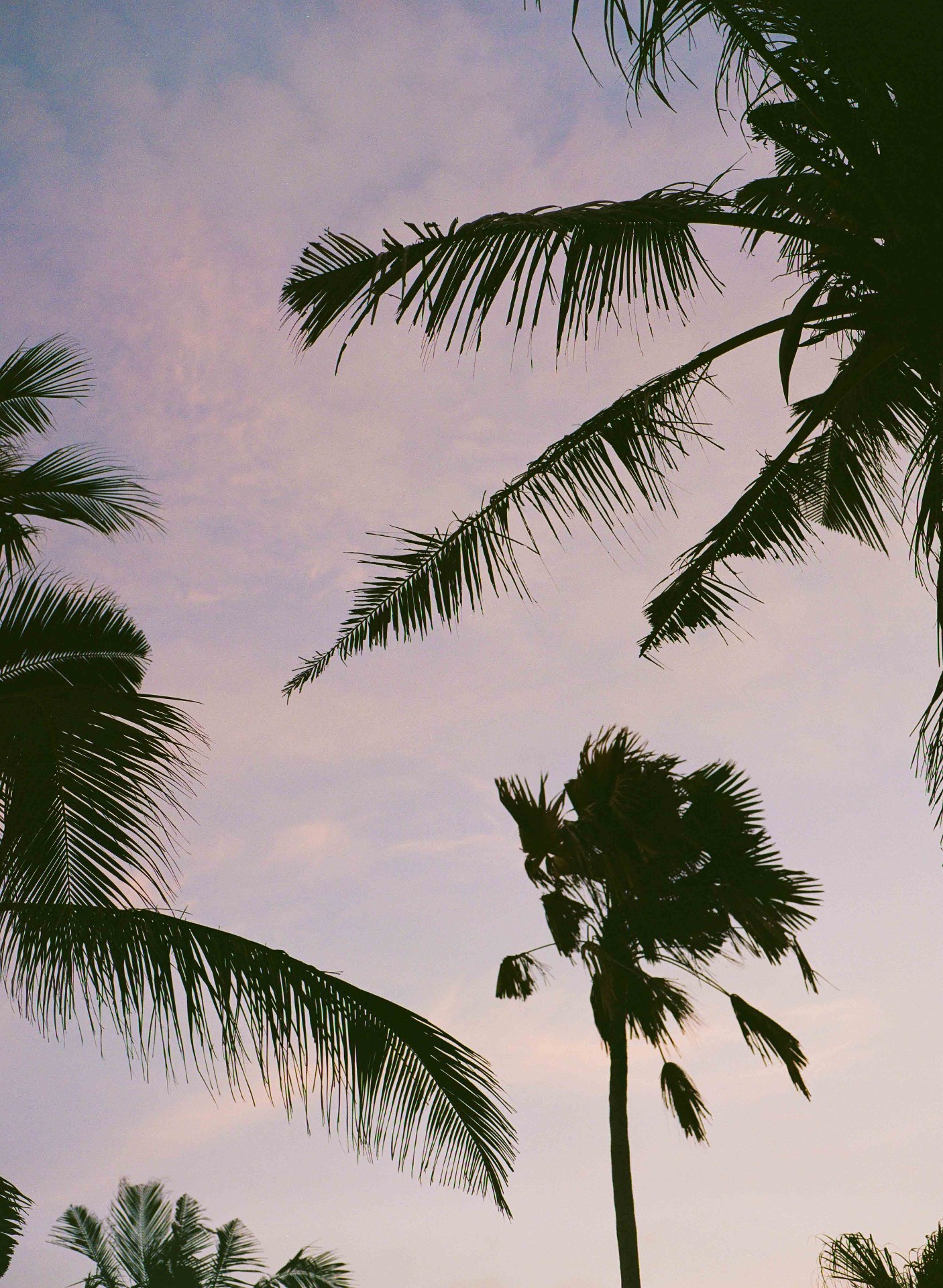 Uluwatu. Bali — 61
