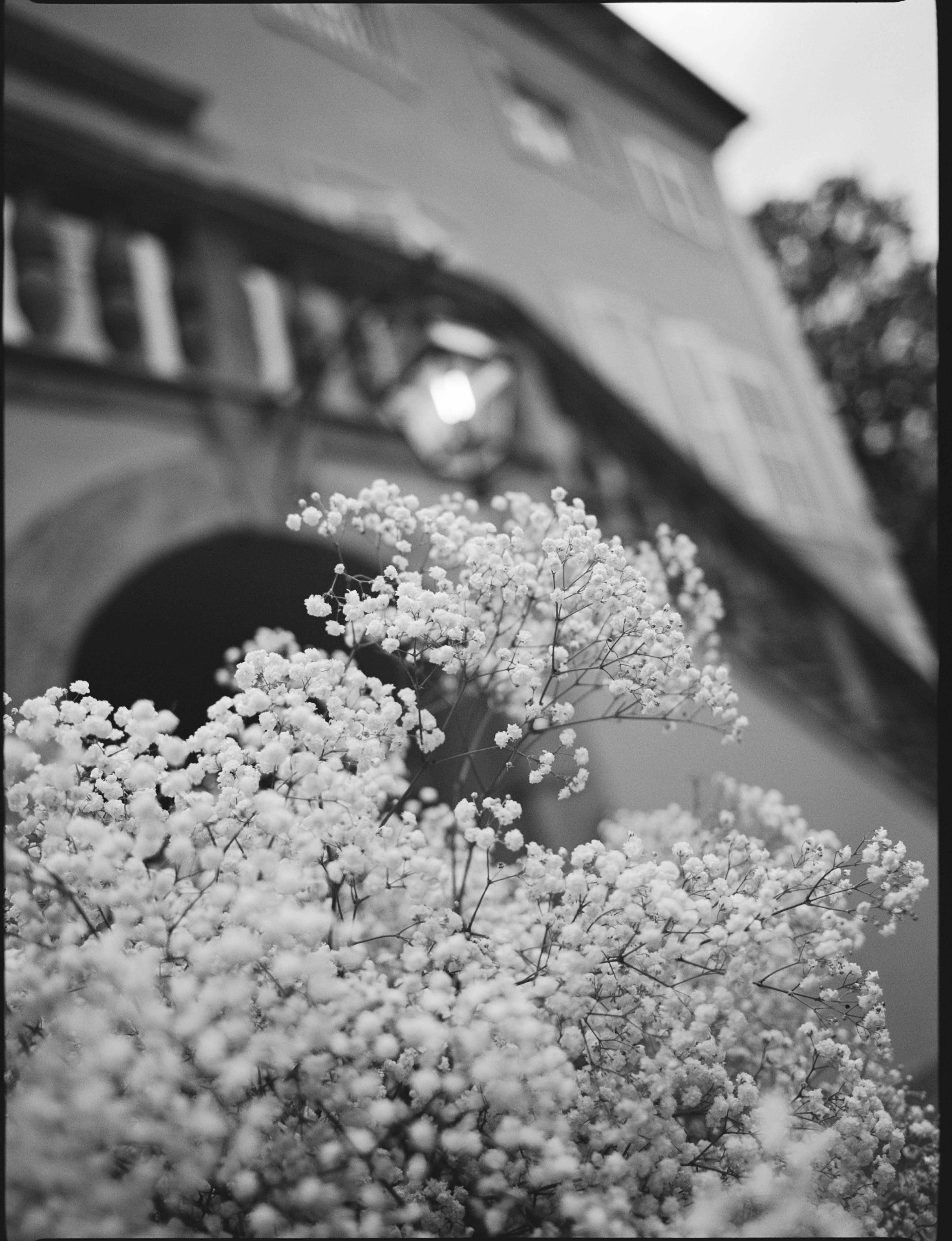 Lucca. Italy — 24