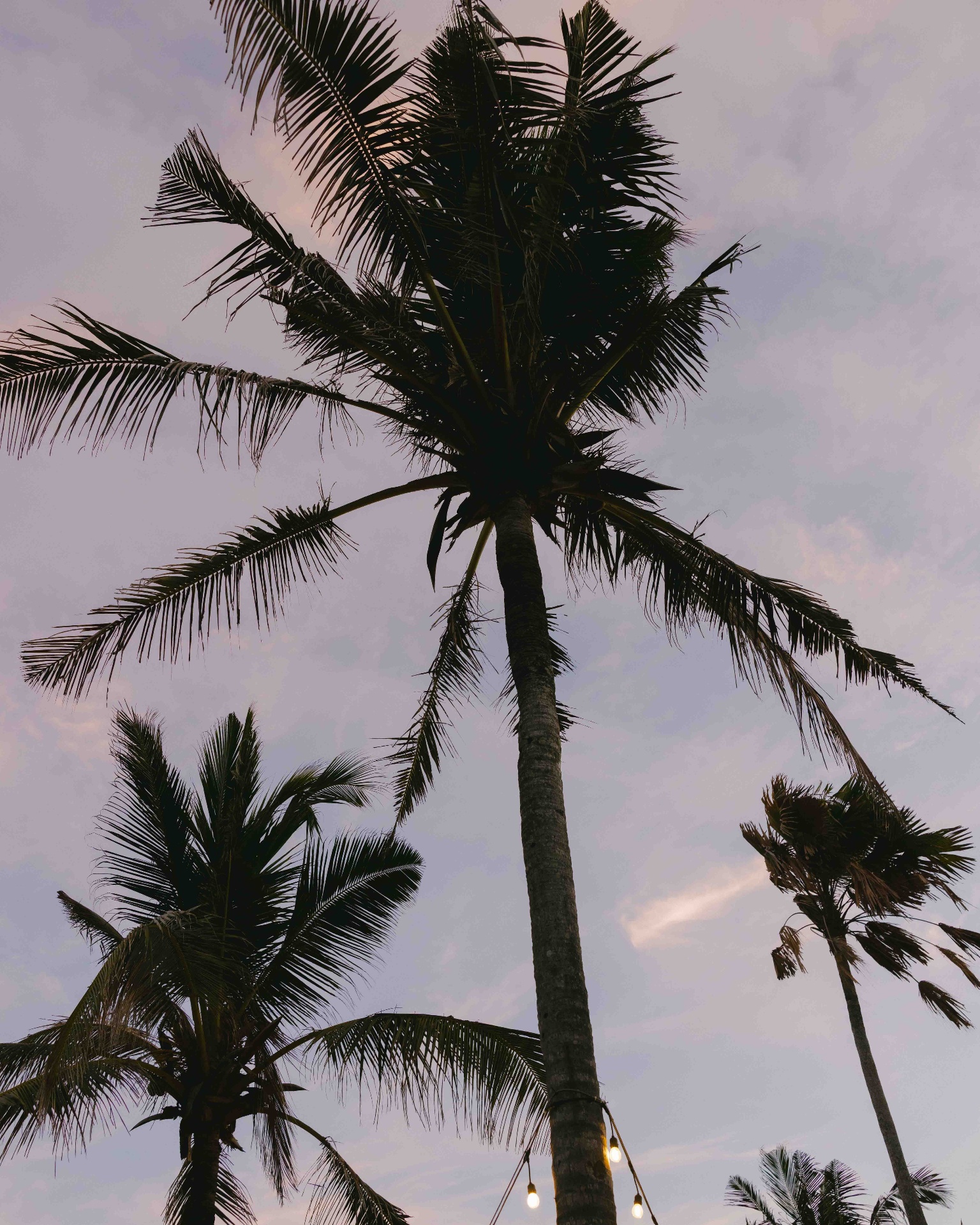 Uluwatu. Bali — 57