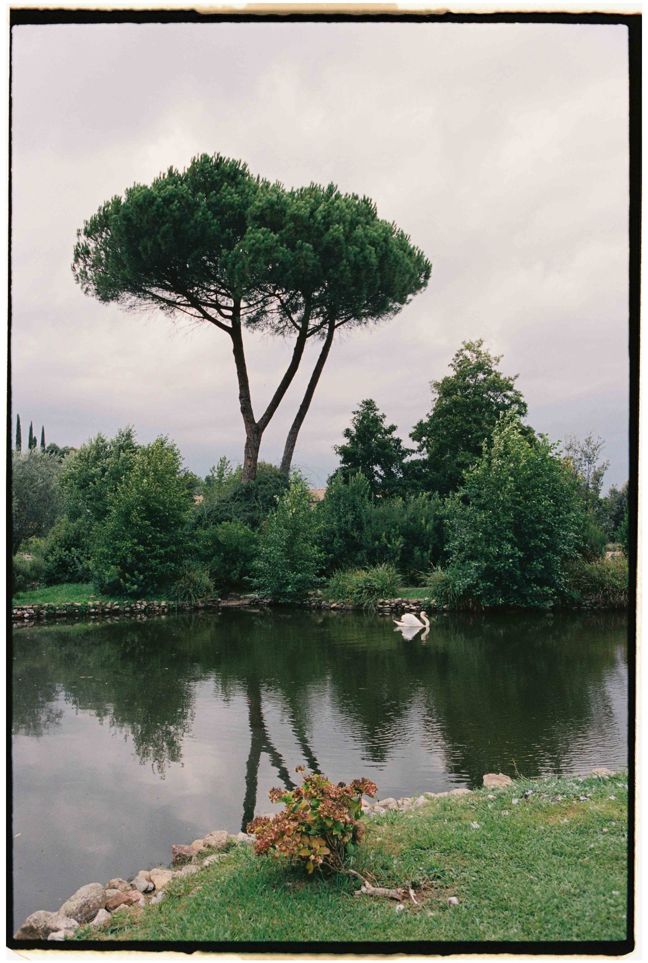 Lucca. Italy — 6